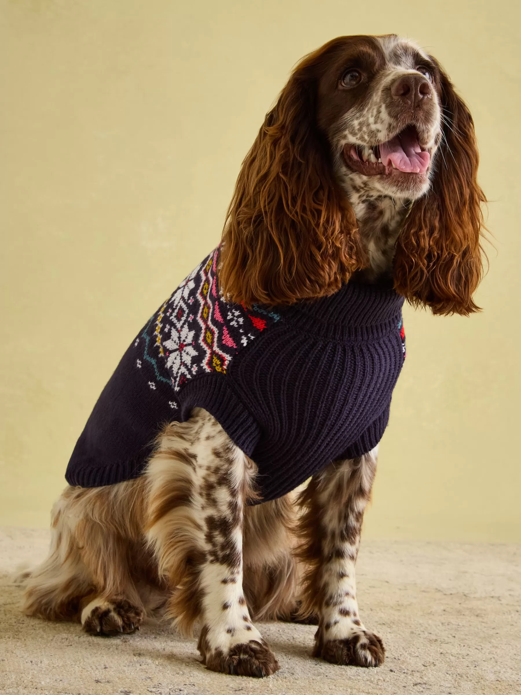 Joules Alba Knitted Fair Isle Dog Jumper Navy Fashion