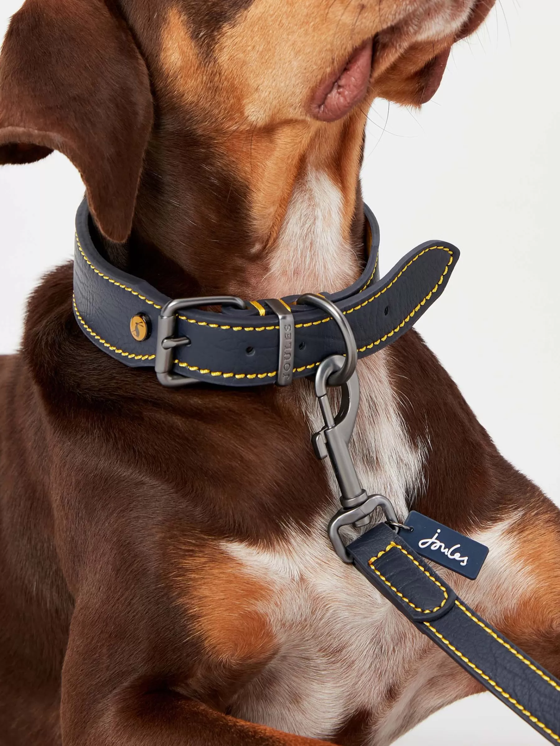 Joules Adjustable Leather Dog Collar Blue Clearance