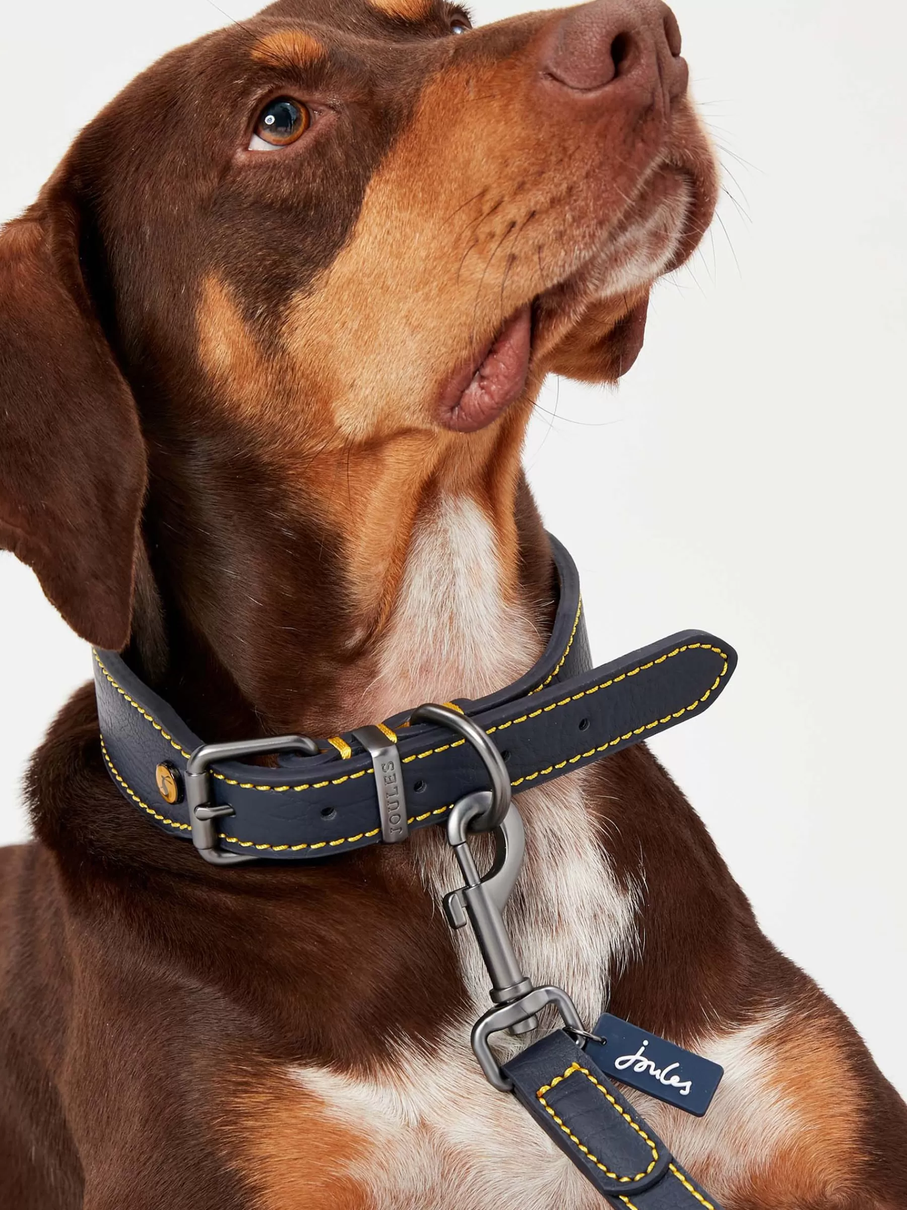 Joules Adjustable Leather Dog Collar Blue Clearance