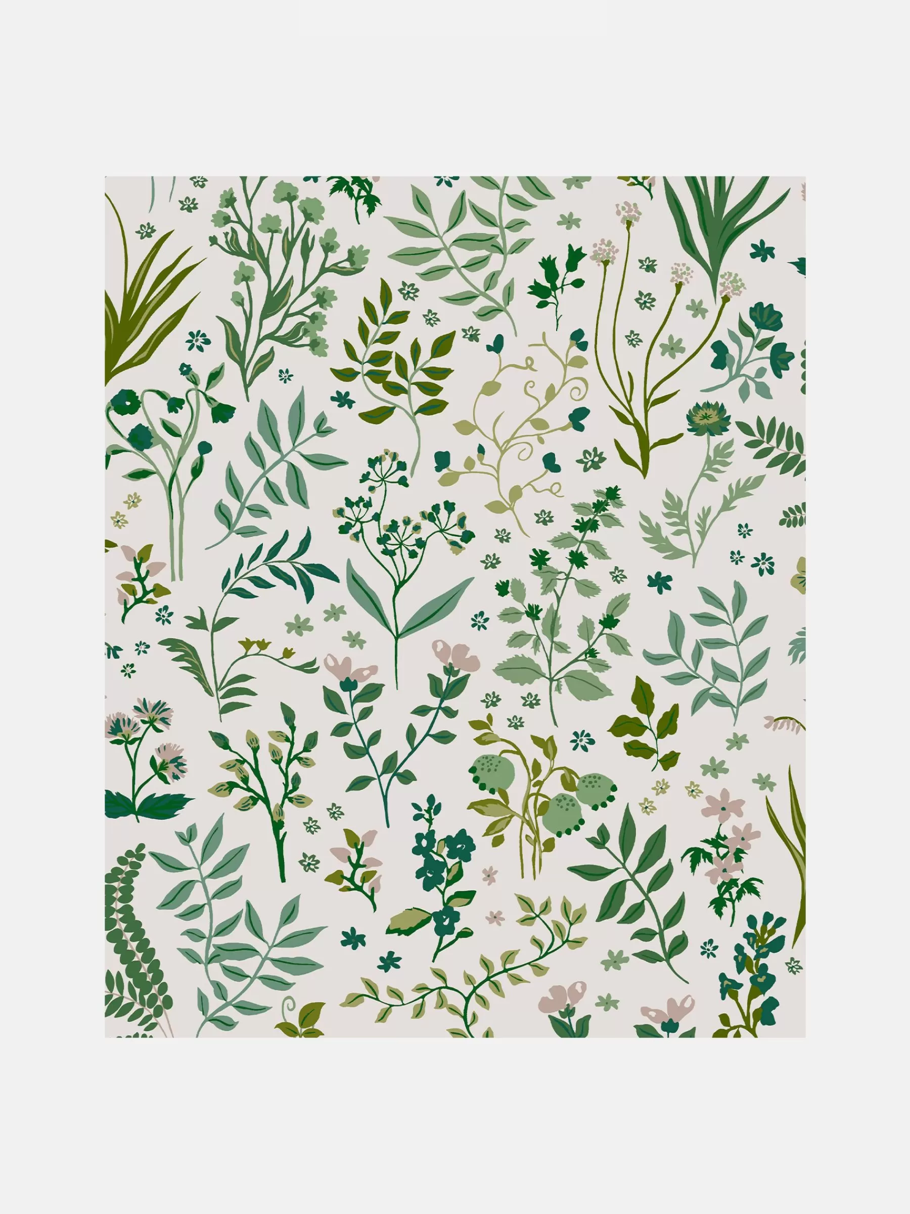 Joules Holcombe Floral 10M Wallpaper Cream Best