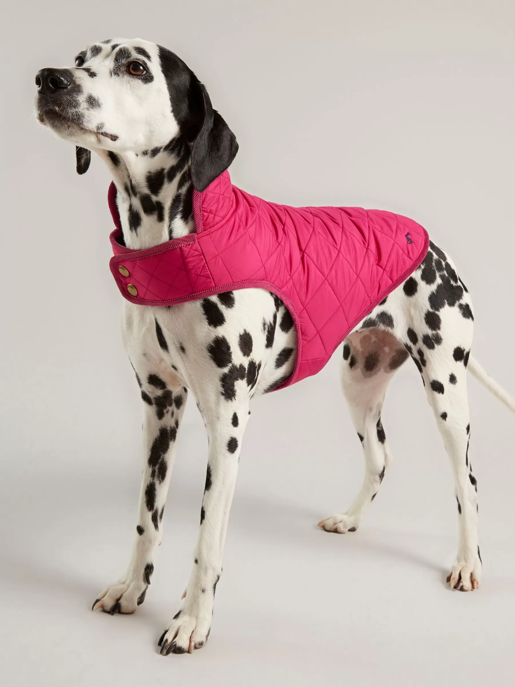 Joules Raspberry Pink Quilted Rain Dog Coat RaspberryPink Discount