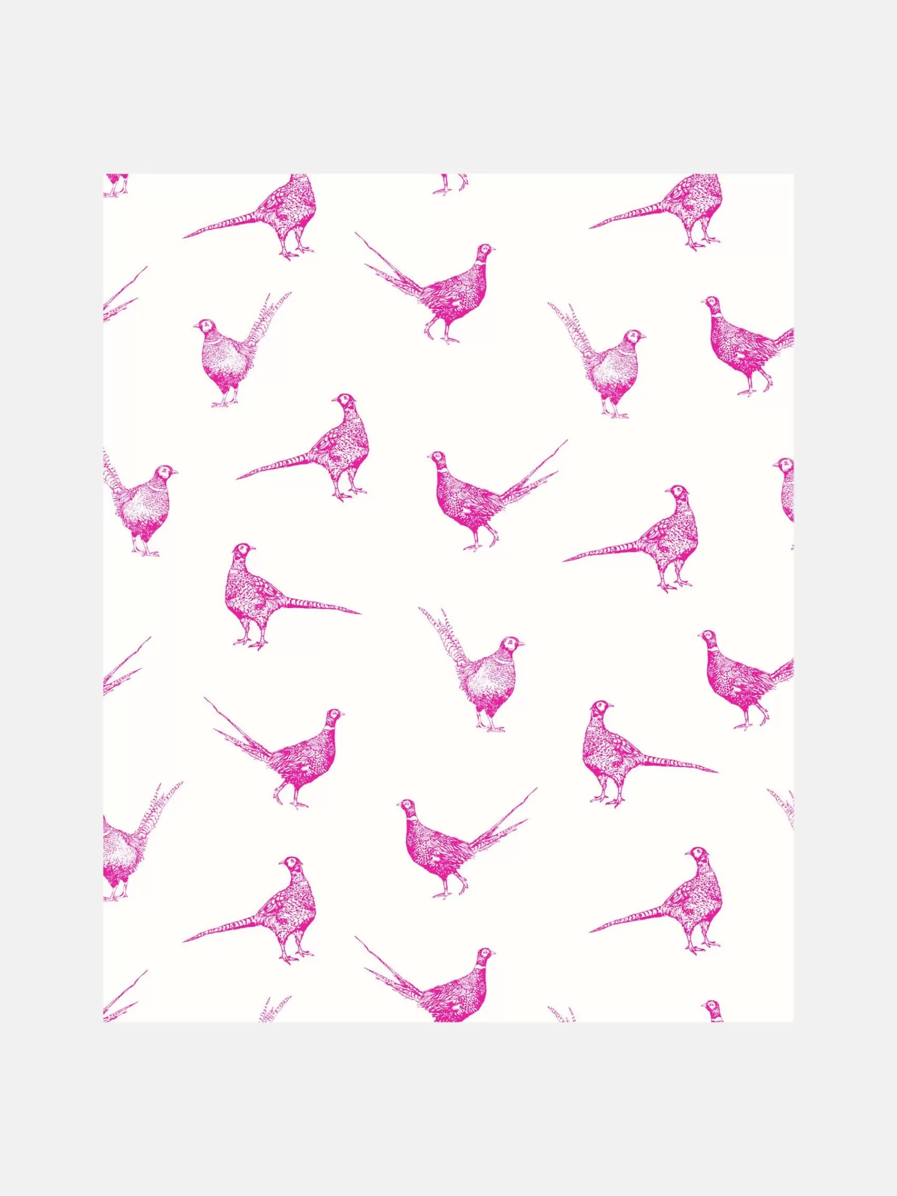 Joules Truly Pink Flirty Pheasants 10M Wallpaper TrulyPink Online